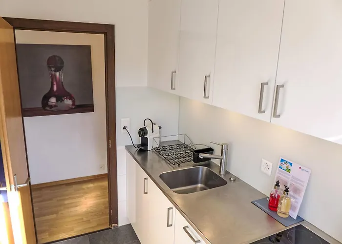 Apartman La Verdure Est N-22 By Interhome Crans-Montana